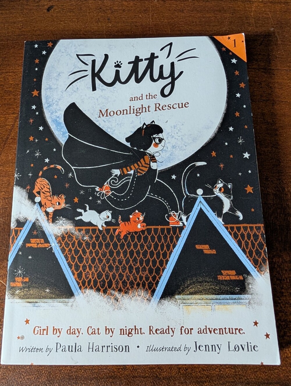 Kitty and the Moonlight Rescue Kids Book